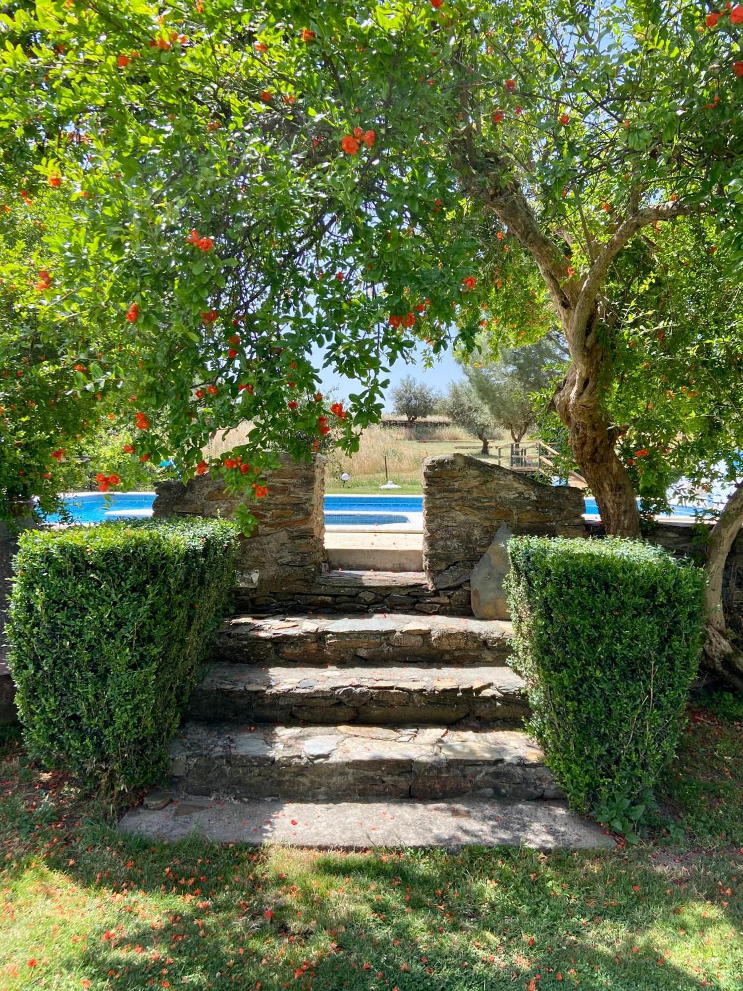 منزل الضيف ريدوندو  في Quinta Alfaval المظهر الخارجي الصورة
