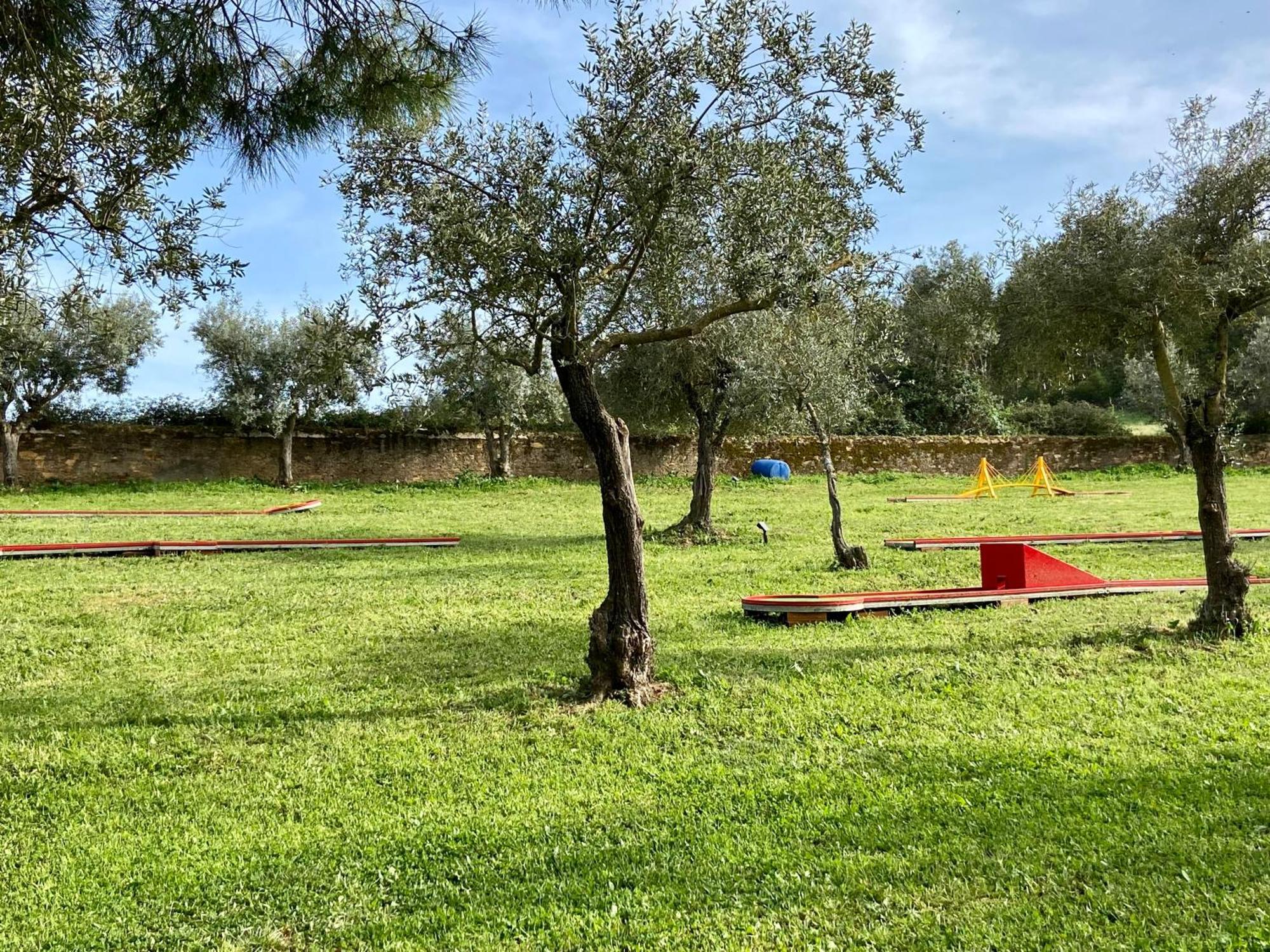 منزل الضيف ريدوندو  في Quinta Alfaval المظهر الخارجي الصورة